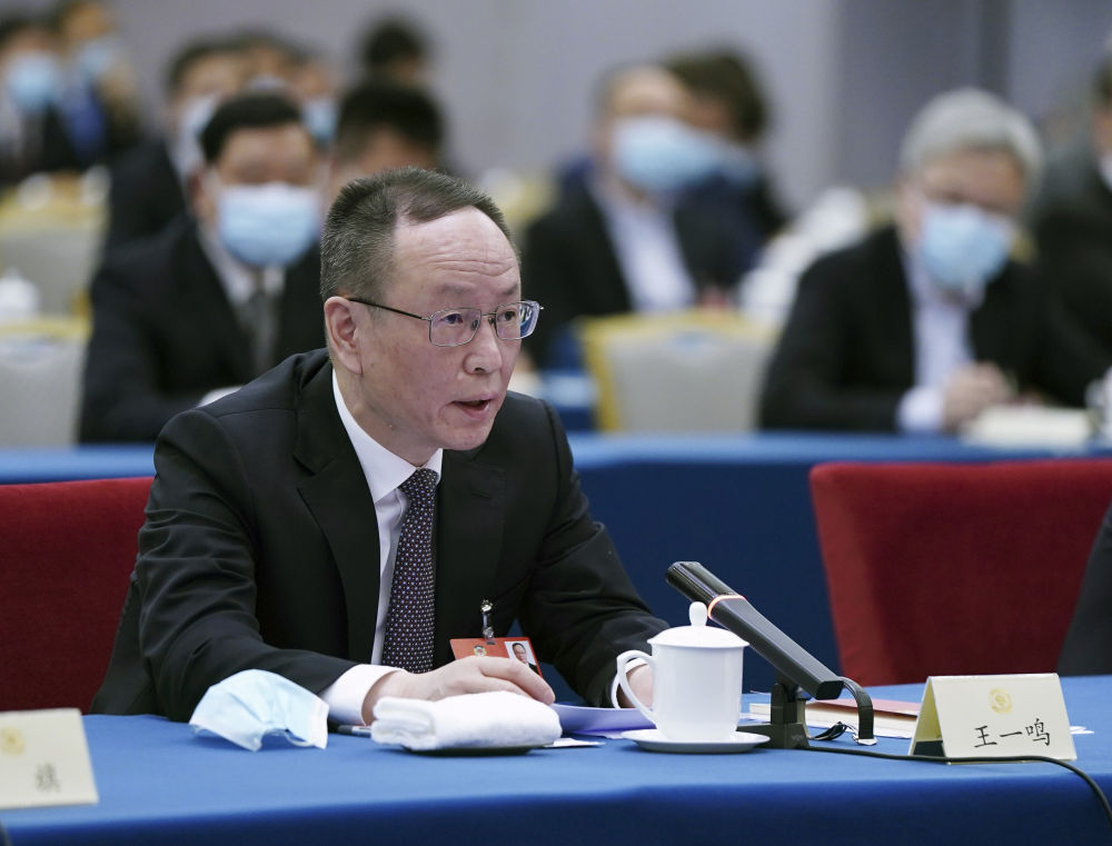 5月23日，全國政協(xié)委員王一鳴在經(jīng)濟界聯(lián)組會上發(fā)言。新華社記者　謝環(huán)馳　攝